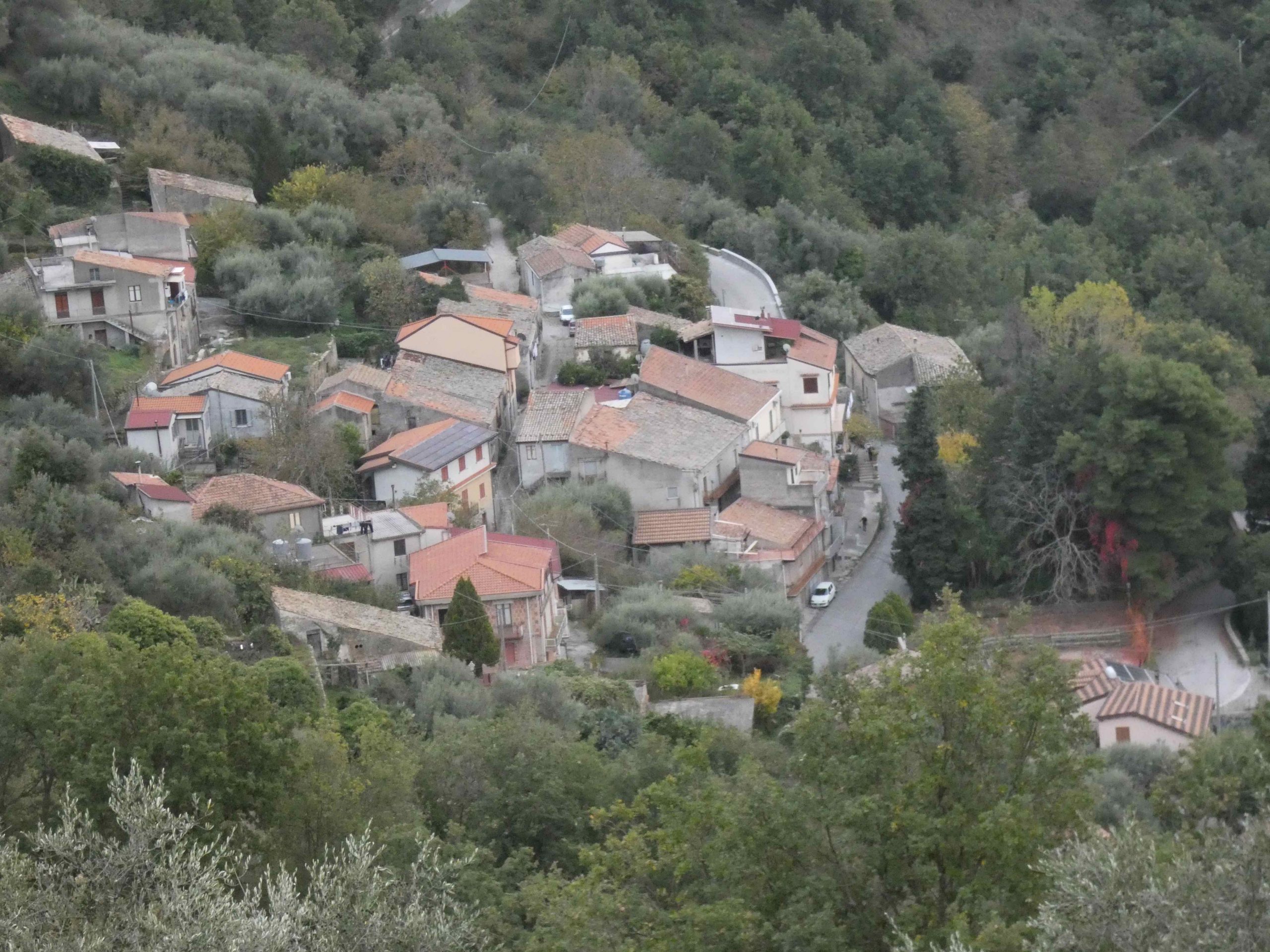 2020 11 01 175146 PASSEGGIATA SERRO CIMITERO 25_1
