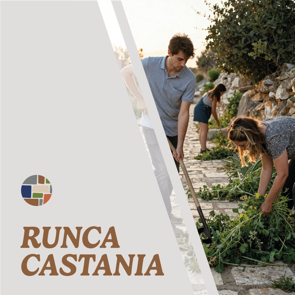 WhatsApp Image 2026-03-31 at 19.28.10