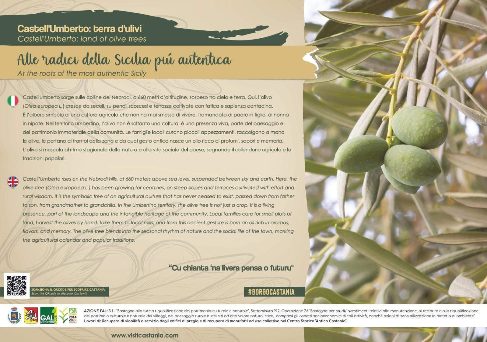 WhatsApp Image 2026-04-03 at 15.43.12