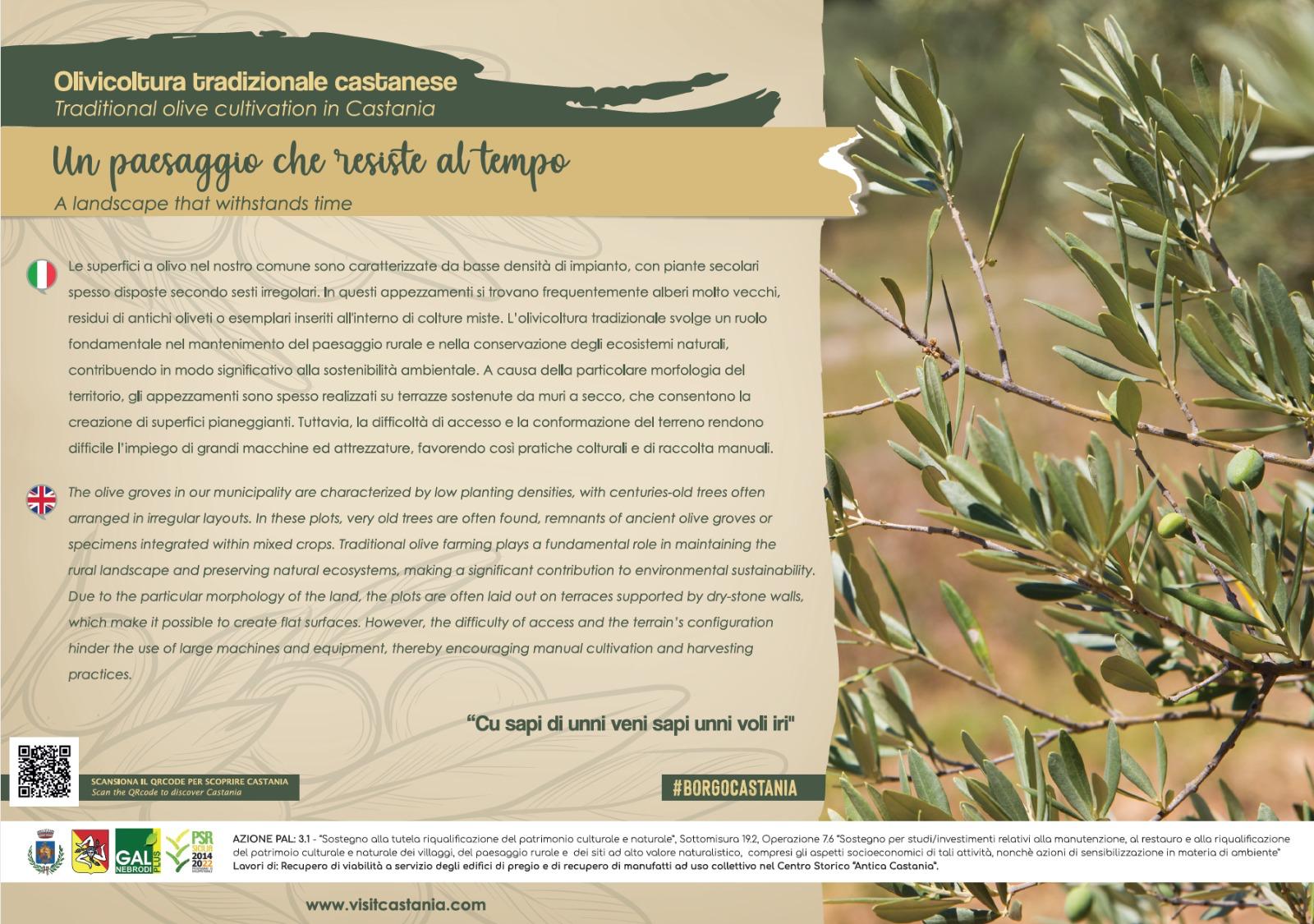 WhatsApp Image 2026-04-03 at 15.43.13 (1)