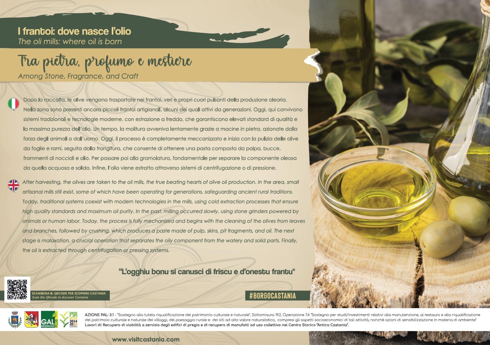 WhatsApp Image 2026-04-03 at 15.43.13 (2)