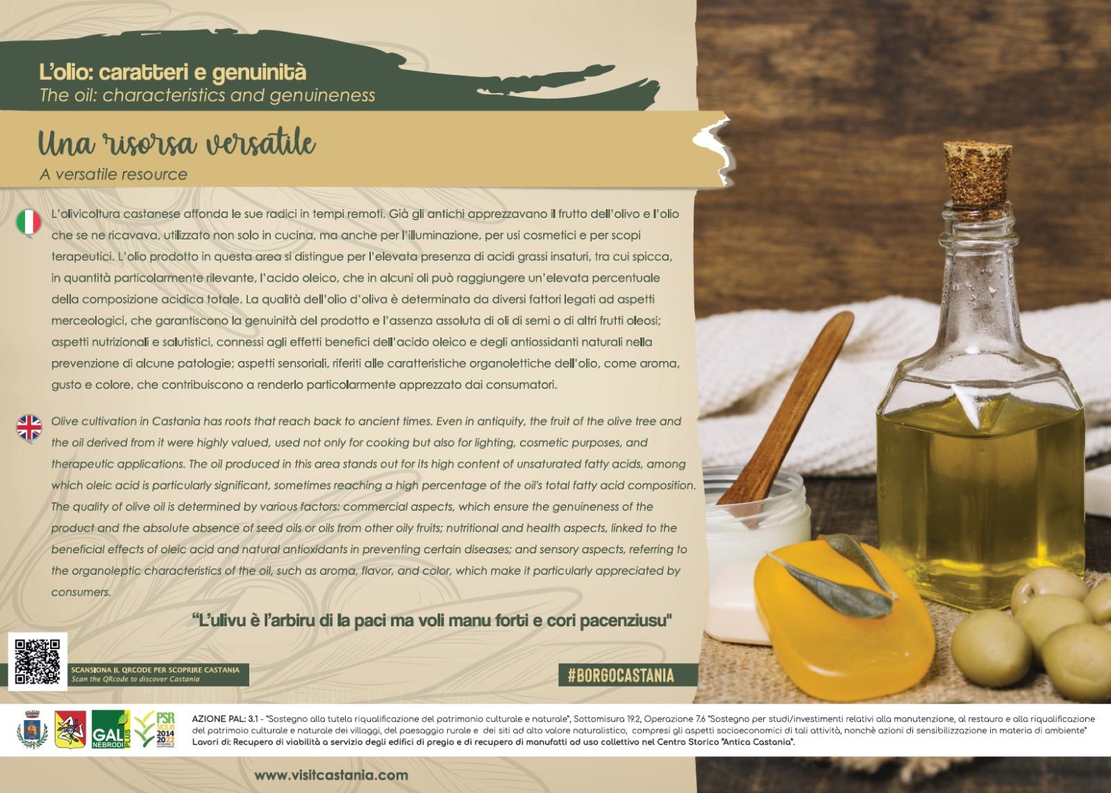 WhatsApp Image 2026-04-03 at 15.43.13 (3)