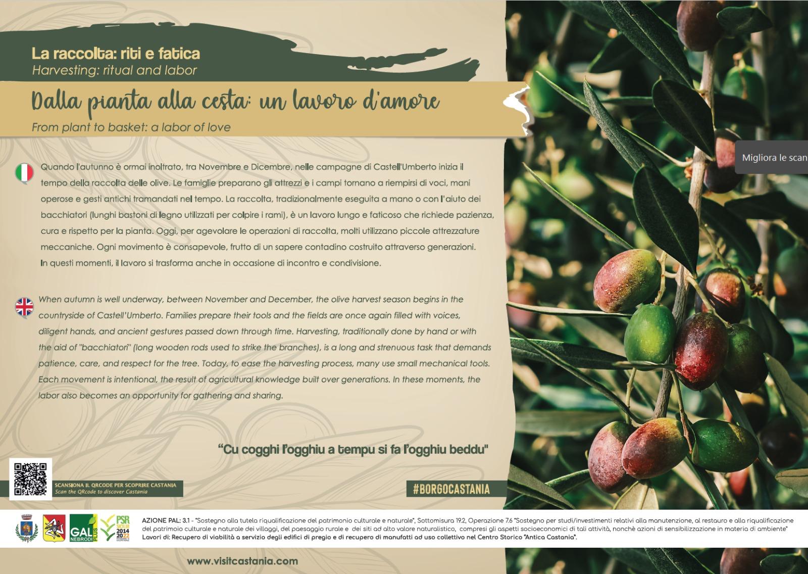 WhatsApp Image 2026-04-03 at 15.43.13 (5)