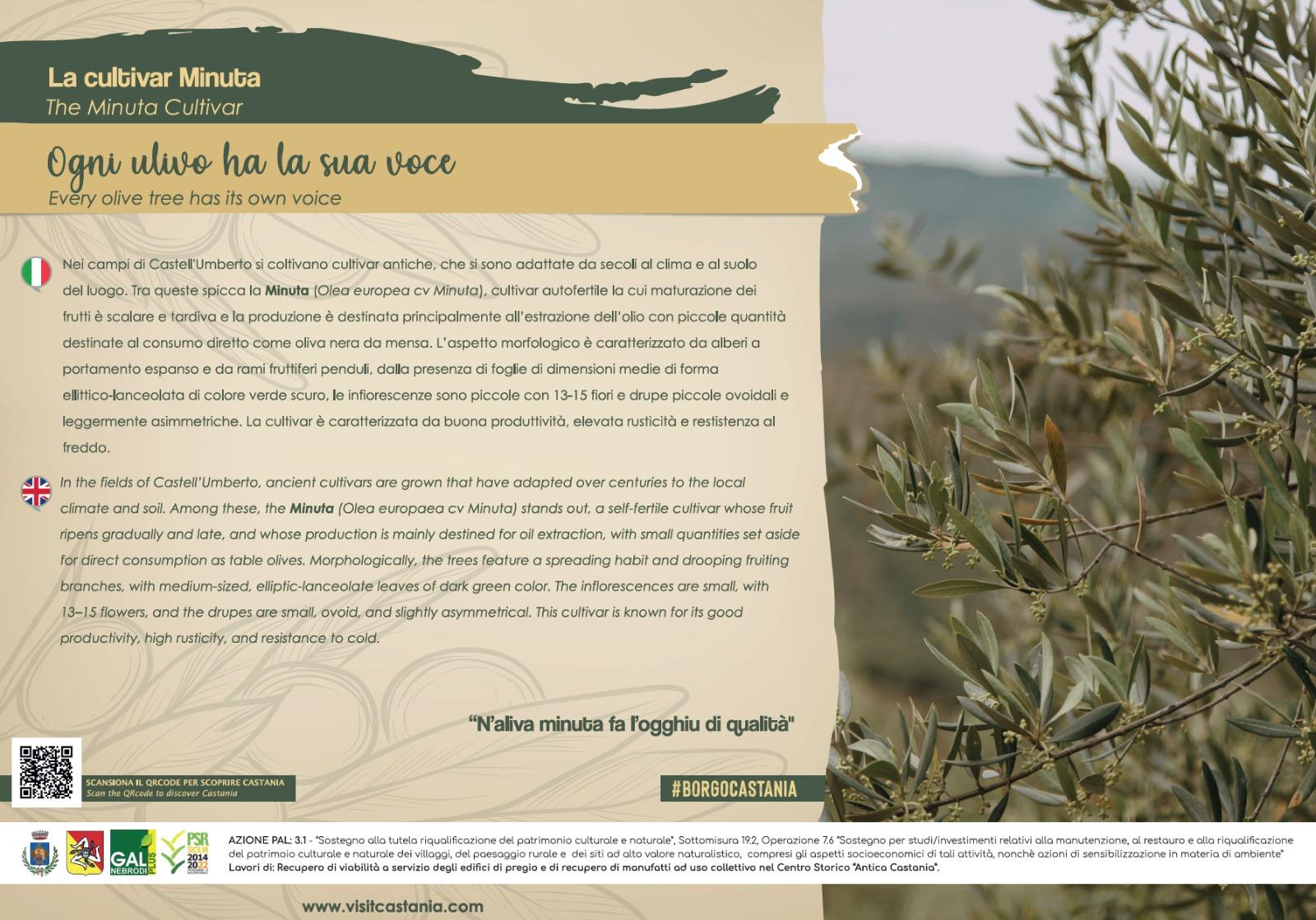 WhatsApp Image 2026-04-03 at 15.43.13